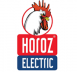 HOROZ ELECTRIC